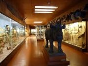 Culture: un projet sur la restitution des œuvres d’art et la question des musées en Afrique