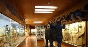 Culture: un projet sur la restitution des œuvres d’art et la question des musées en Afrique