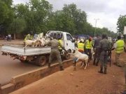 Ouagadougou: « Tout animal ou volailles en vente dans la rue sera saisi »
