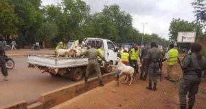 Ouagadougou: « Tout animal ou volailles en vente dans la rue sera saisi »