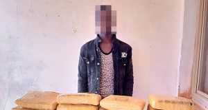 Burkina: 20 kg de cannabis saisis à Bobo
