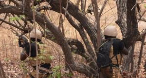 Terrorisme en 2022: le Burkina, 2e pays le plus touché au monde, selon le GTI
