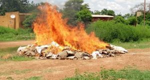 Burkina: plus de 13 800 œufs saisis et incinérés à Koupéla