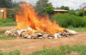 Burkina: plus de 13 800 œufs saisis et incinérés à Koupéla