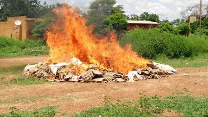 Burkina: plus de 13 800 œufs saisis et incinérés à Koupéla