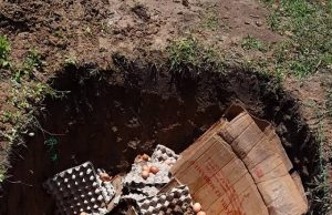 Burkina: plus de 5 520 œufs saisis et incinérés à Bittou