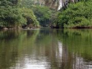 Duekoué: sept fillettes burkinabè périssent au cours de la traversée d’une pirogue