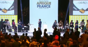 Afrique-France: Lancement de la consultation publique sur la Maison des mondes africains
