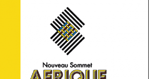 Les territoires français d’Outre-mer, grands oubliés du sommet Afrique-France