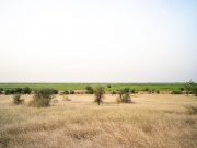 Burkina Faso: Africa REN lance la construction de la plus grande centrale solaire du pays