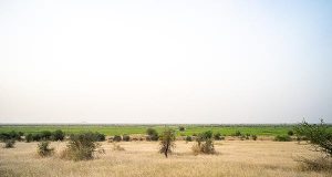 Burkina Faso: Africa REN lance la construction de la plus grande centrale solaire du pays