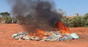 Lutte anti-drogue: 815 kg de chanvre indien incinérés à Bobo-Dioulasso