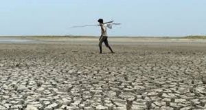 COP26: que peut attendre l’Afrique de Glasgow?
