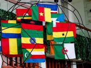 CAN 2021: Étalons, Aigles, Éléphants, Lions, Pharaons…, les surnoms des 24 équipes de la compétition
