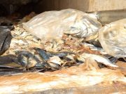 Burkina: une tonne de poisson avarié saisie à Koudougou