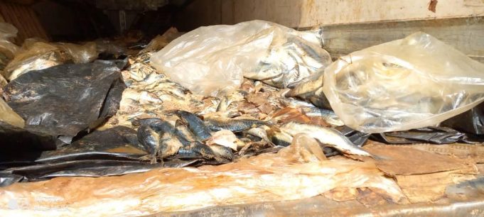 Burkina: une tonne de poisson avarié saisie à Koudougou