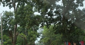 Burkina: le véhicule d’une ONG retiré par des hommes armés dans le Mouhoun