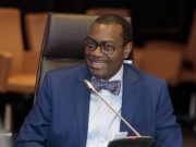 Afrique: Akinwumi A. Adesina réfléchit sur la Facilité de production alimentaire d’urgence