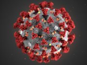 Gabon/coronavirus: levée des restrictions sanitaires