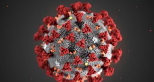 Gabon/coronavirus: levée des restrictions sanitaires