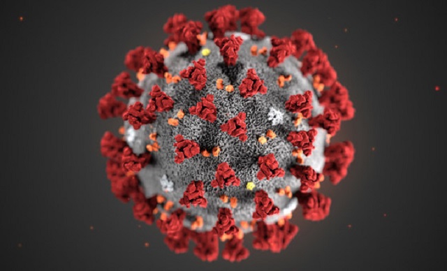 Coronavirus (1)