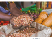 Par-delà le conflit, un plan pour la sécurité alimentaire de l’Afrique