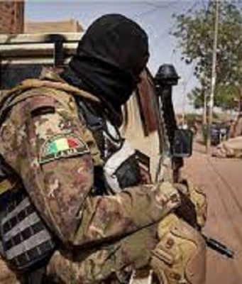 Mali: plus de 200 terroristes neutralisés