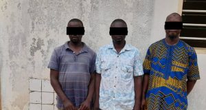 Togo/Trafic d’ivoire: trois présumés trafiquants aux arrêts