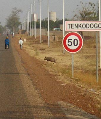Burkina: Destitution de Gounga Naaba Koloum Buudu à Tenkodogo