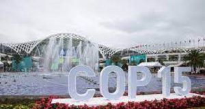 COP 15: une conférence-plus ou un folklore de trop?