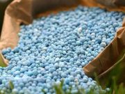 Burkina: la hausse des prix des intrants agricoles inquiète