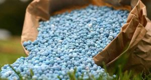 Burkina: la hausse des prix des intrants agricoles inquiète