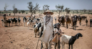 Djihadisme et crise du pastoralisme au Sahel, que faire ?