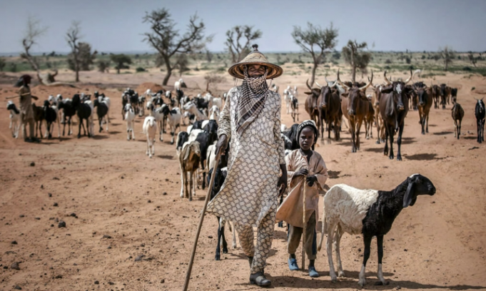 Djihadisme et crise du pastoralisme au Sahel, que faire ?