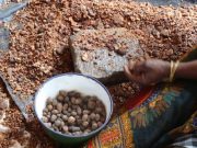 Burkina: des technologies bioénergies dans les PME karité et anacarde