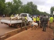 Ouagadougou /Vente de bétail sur la voie publique: la mise en garde de la Police municipale
