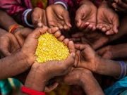 Afrique: la guerre de Poutine passera, la famine restera