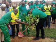 Lutte contre la déforestation: NESTLÉ BURKINA plante 350 arbres dans l’espace de la ceinture verte de Ouagadougou