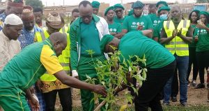 Lutte contre la déforestation: NESTLÉ BURKINA plante 350 arbres dans l’espace de la ceinture verte de Ouagadougou