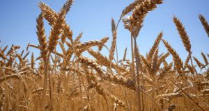 Exportation de céréales: l’UA « se félicite » de l’accord signé par l’Ukraine et la Russie