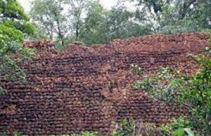 Burkina: des hommes armés près des ruines de Loropéni