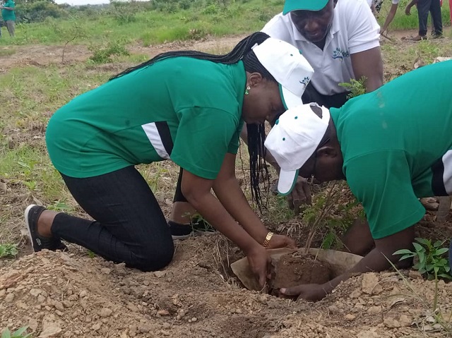 La présidente de l'APRN, Chantal Ouattara-Ilboudo mettant en terre son arbre