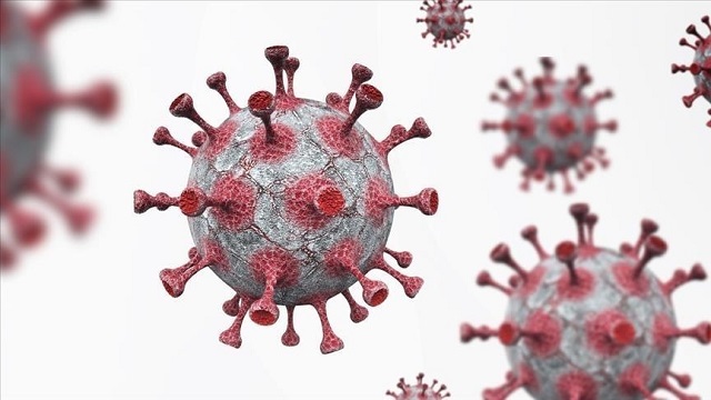 Virus de la variole du singe