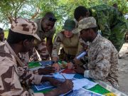 Tchad: renforcement du partenariat militaire opérationnel