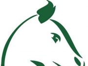 Burkina/Championnat national 2022/2023: début vendredi 16 septembre