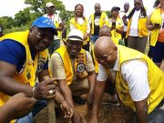 Reboisement: la Fondation Nikièma Arouna et les Lions au vert