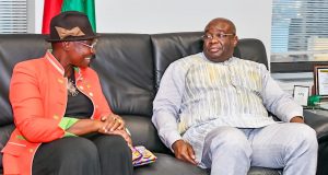 Contribution de la diaspora au Développement du Burkina Faso : Le Premier ministre s’entretient à New York, avec Princess Abze Djigma