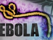 Ouganda: un cas de décès du virus Ebola signalé