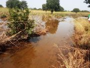 Burkina: les eaux du fleuve Mouhoun font d’énormes dégâts