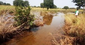 Burkina: trop de poissons morts dans le fleuve Mouhoun